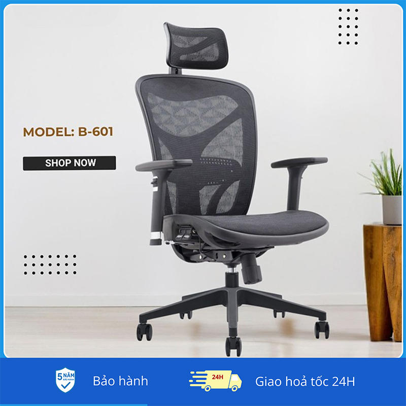 Ghế Công Thái Học B 601