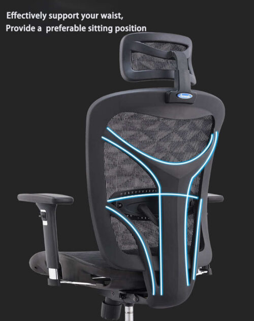 Ghế Công Thái Học Ergonomic B-601 - Ảnh 4