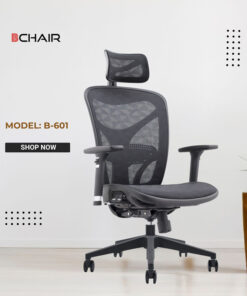 Ghế công thái học B-601
