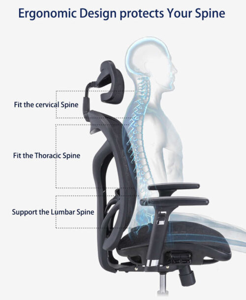 Ghế Công Thái Học Ergonomic B-601 - Ảnh 2