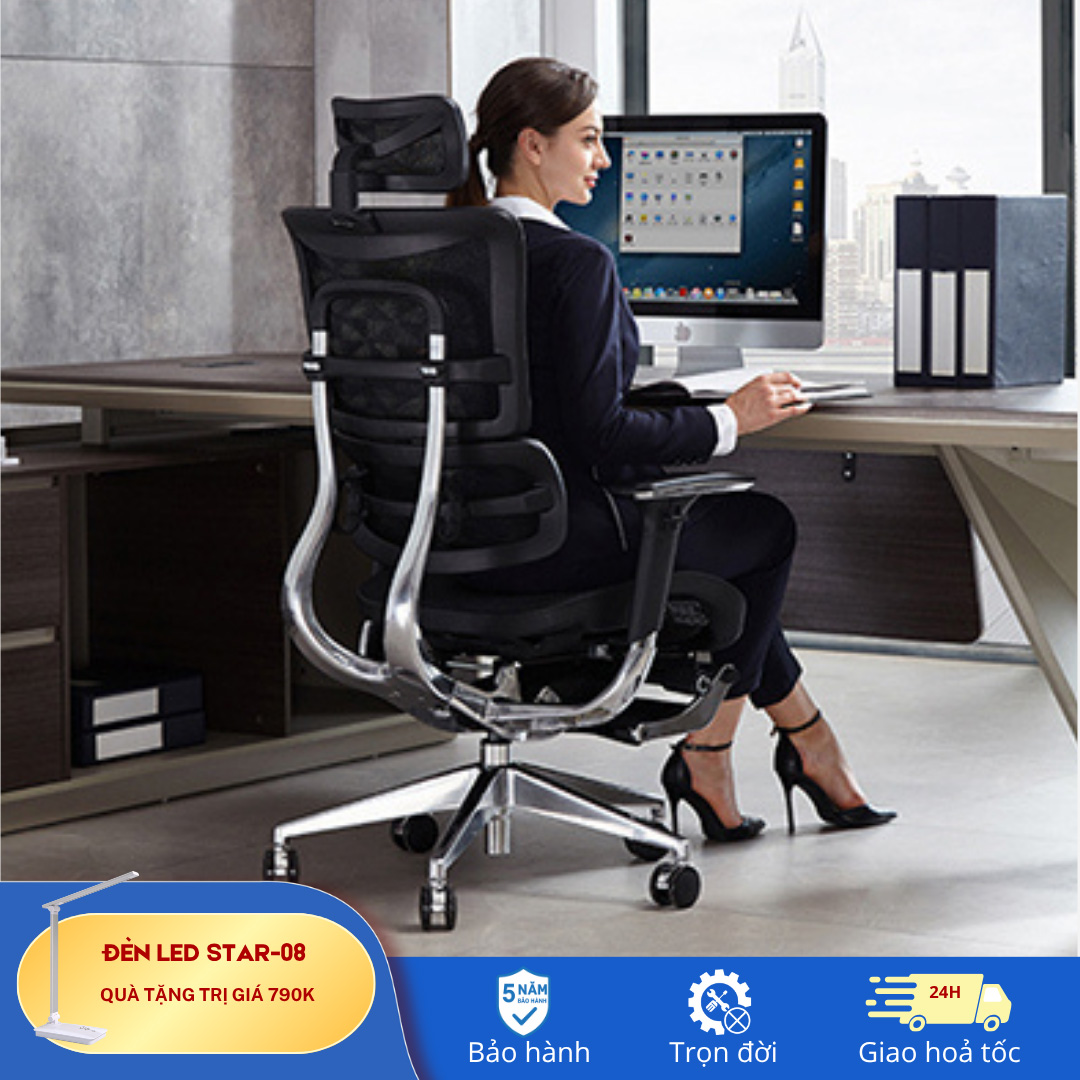 Ghế Công Thái Học B 801L