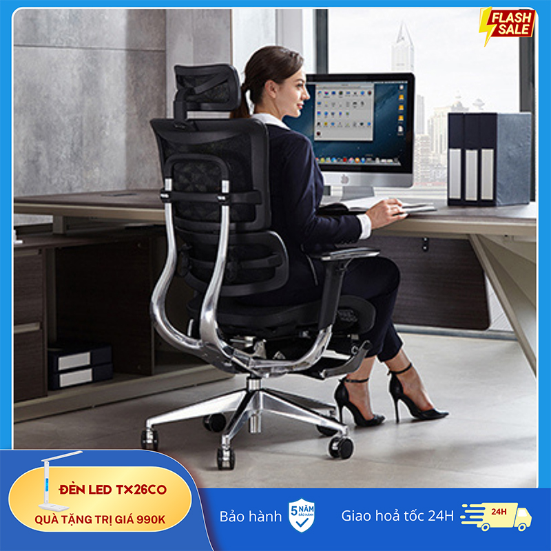 Ghế Công Thái Học B 801L