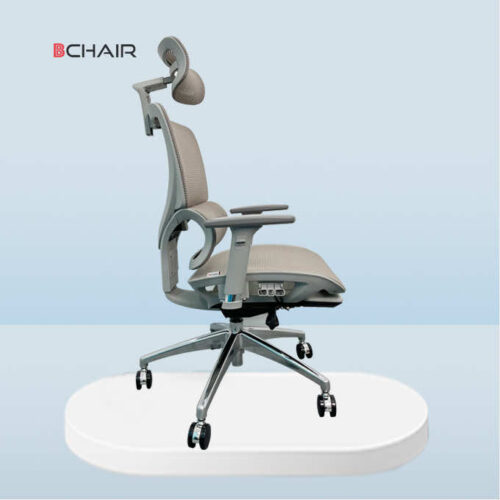 ghế công thái học B101af