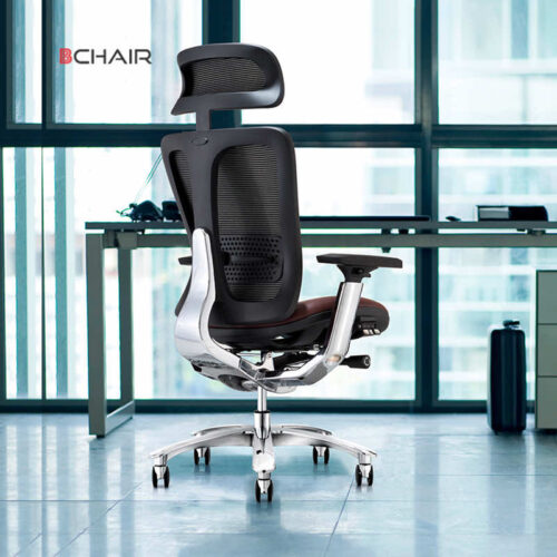 Ghế công thái học Ergonomic Bchair B-901