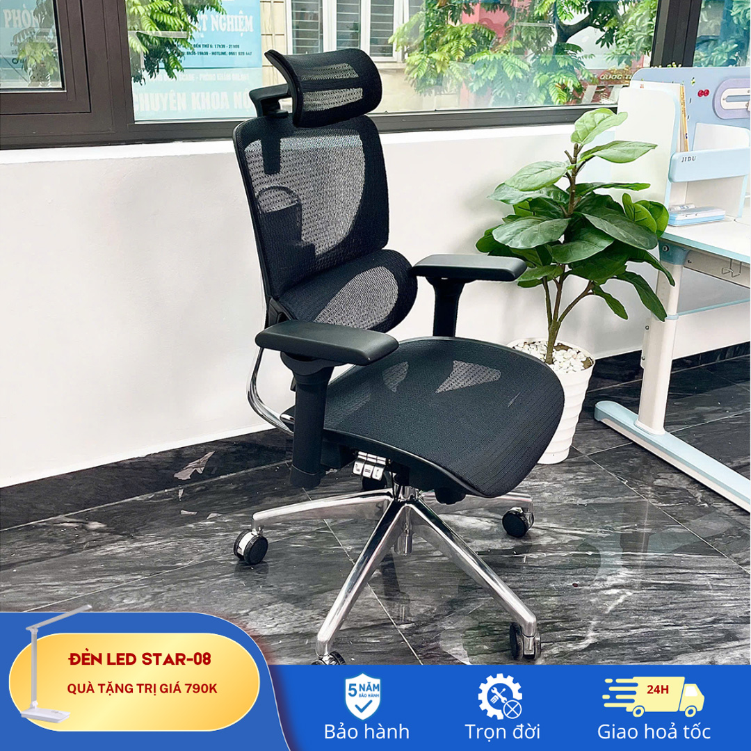 Ghế Công Thái Học B 1018D đen