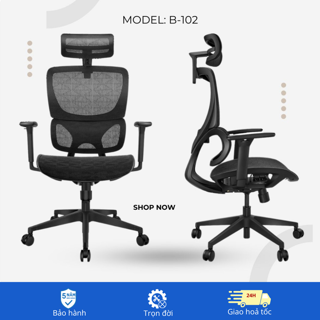 Ghế Công Thái Học B 102