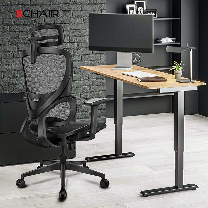 Ghế công thái học, ghế xoay văn phòng Ergonomic B-102