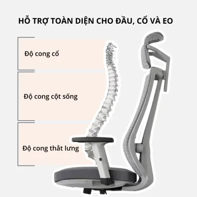 Ghế công thái học Bchair: Sự kết hợp hoàn mỹ của phong cách và sức khỏe