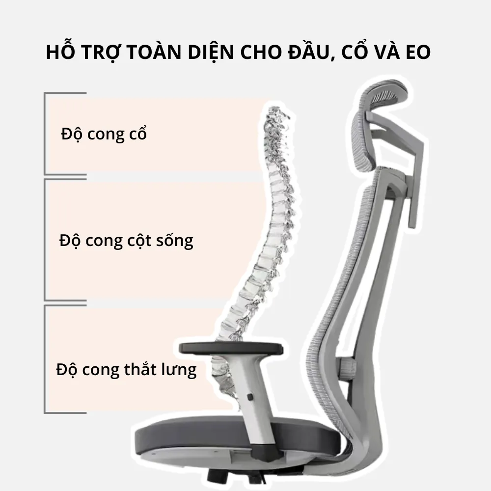 Ghế công thái học Bchair: Sự kết hợp hoàn mỹ của phong cách và sức khỏe