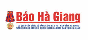 Báo baohagiang.vn nói về Bchair