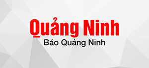 bao QuangNinh