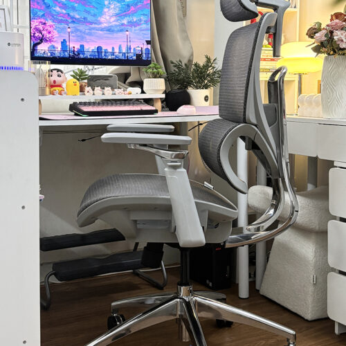 Ghế công thái học B1018D Ghi Đẹp 1