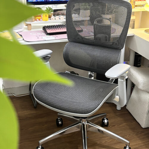 Ghế công thái học B1018D Ghi Đẹp