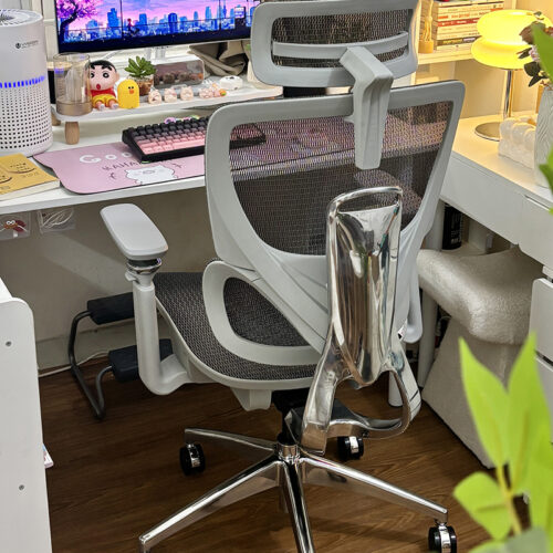Ghế công thái học B1018D Ghi Đẹp 3