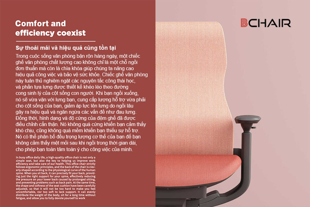 Ghế công thái học M6F-16L có kê chân 14 Ghế xoay văn phòng Dream6 ảnh 02