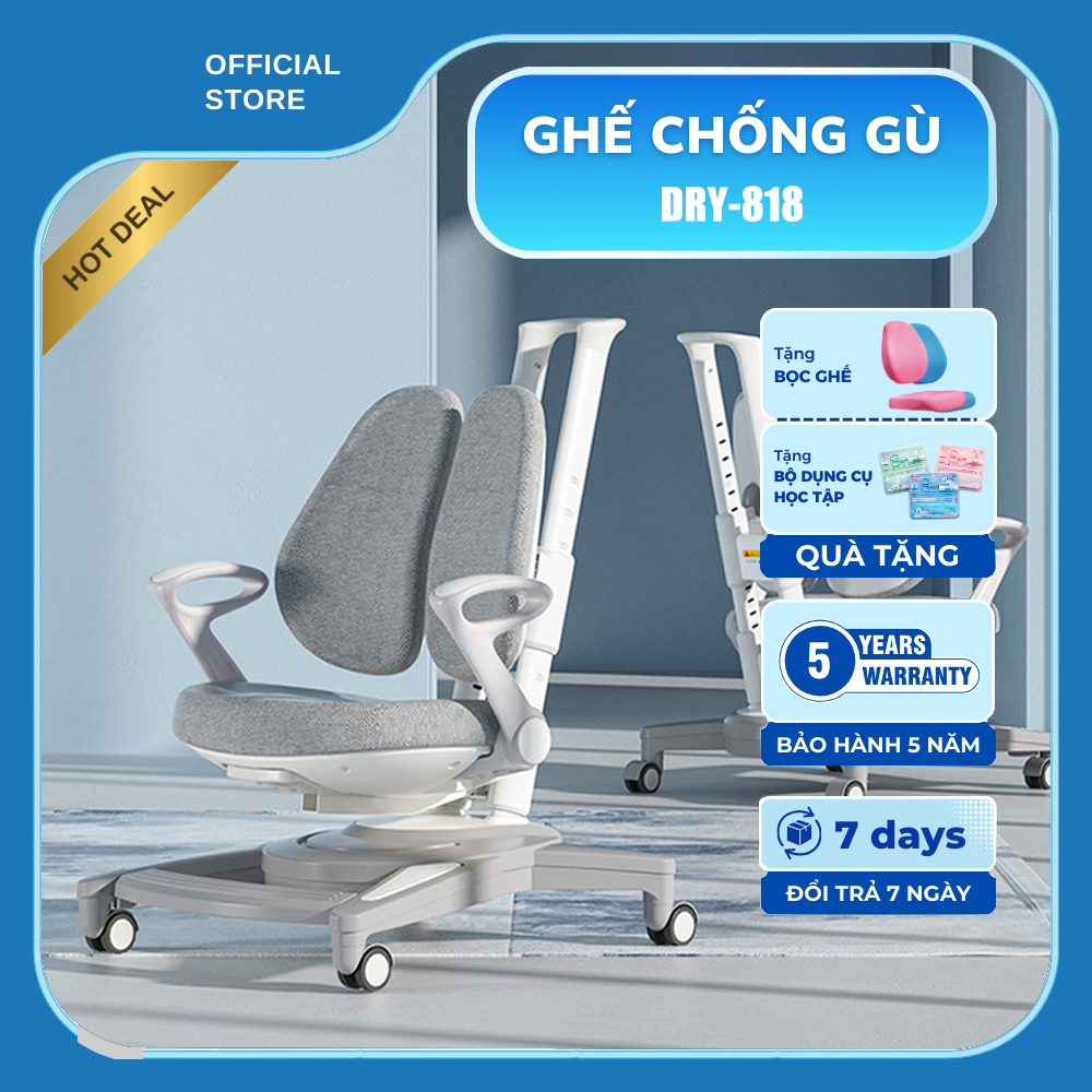 Ghế chống gù DRY-818
