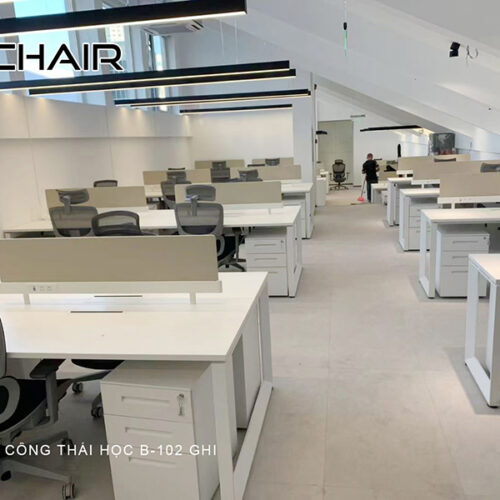 BCHAIR Triển Khai Dự Án Ghế Công Thái Học B-102 Ghi Cho Công Ty Cổ Phần Minh Thu