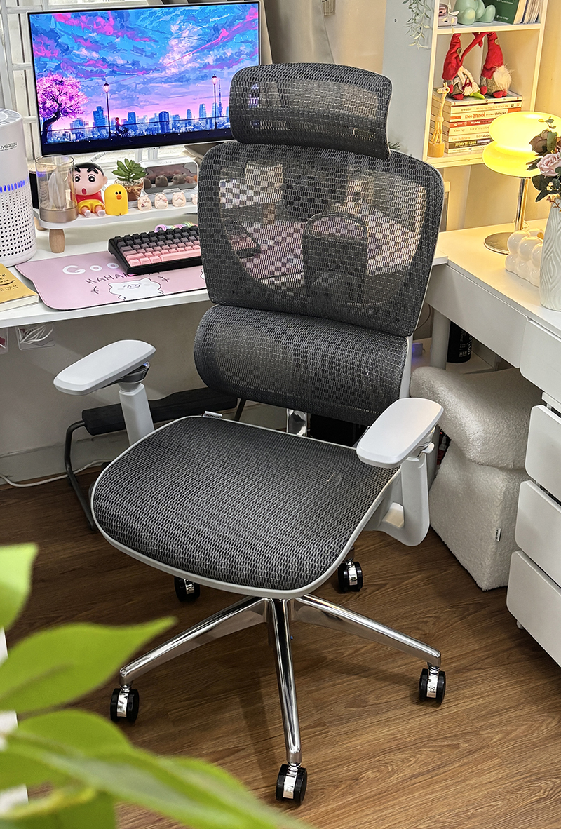 Ghế Công Thái Học B 1018D Ghi