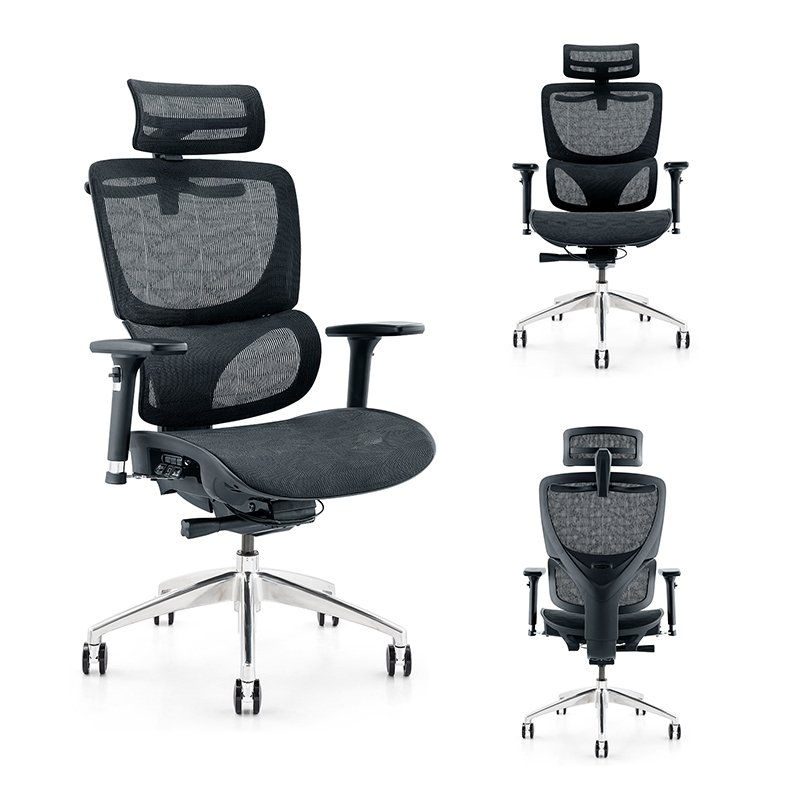 Ghế Công Thái Học Dòng Ghế B101AF16L Sự Kết Hợp Hoàn Hảo Giữa Thoải Mái và Phong Cách Cho Không Gian Làm Việc Của Bạn 1 Ghế công thái học B101af16l
