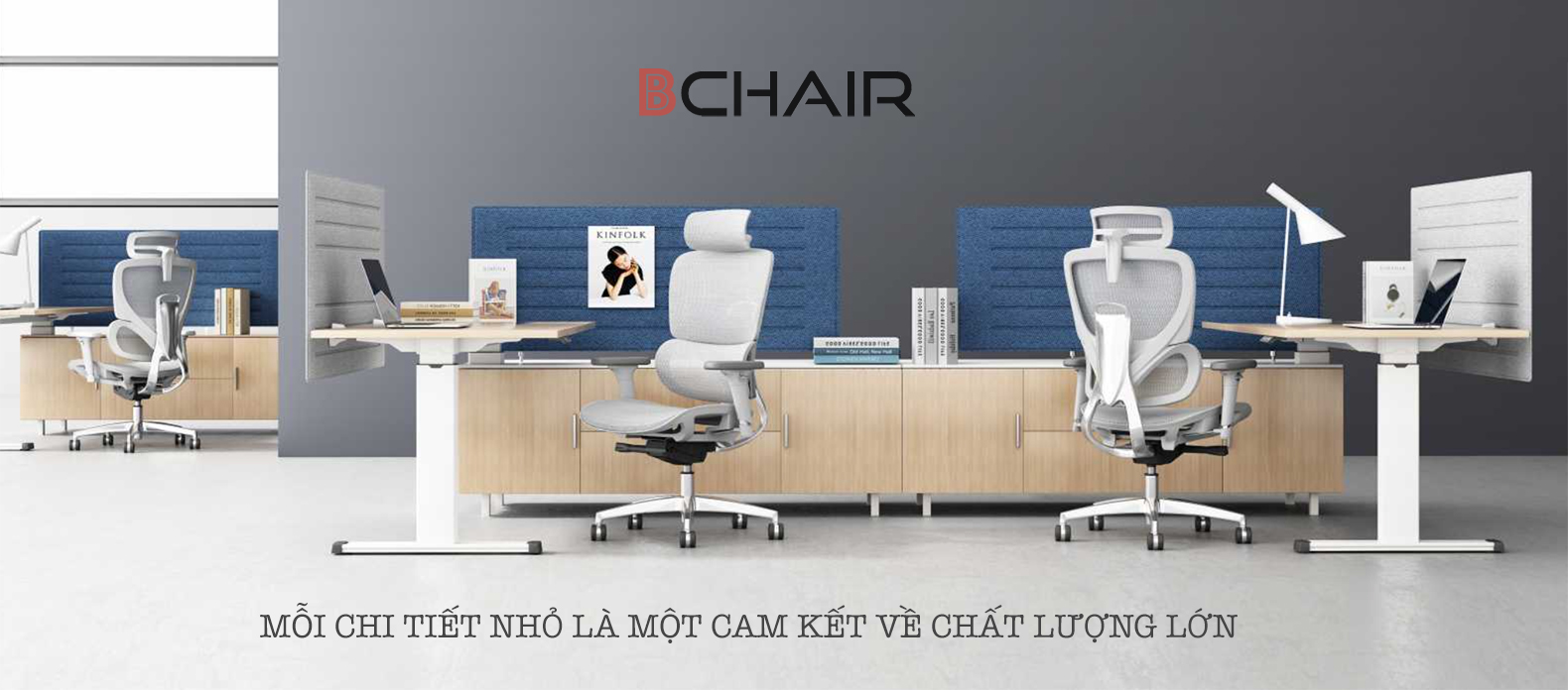Ghế Công Thái Học Cao Cấp B 1018D