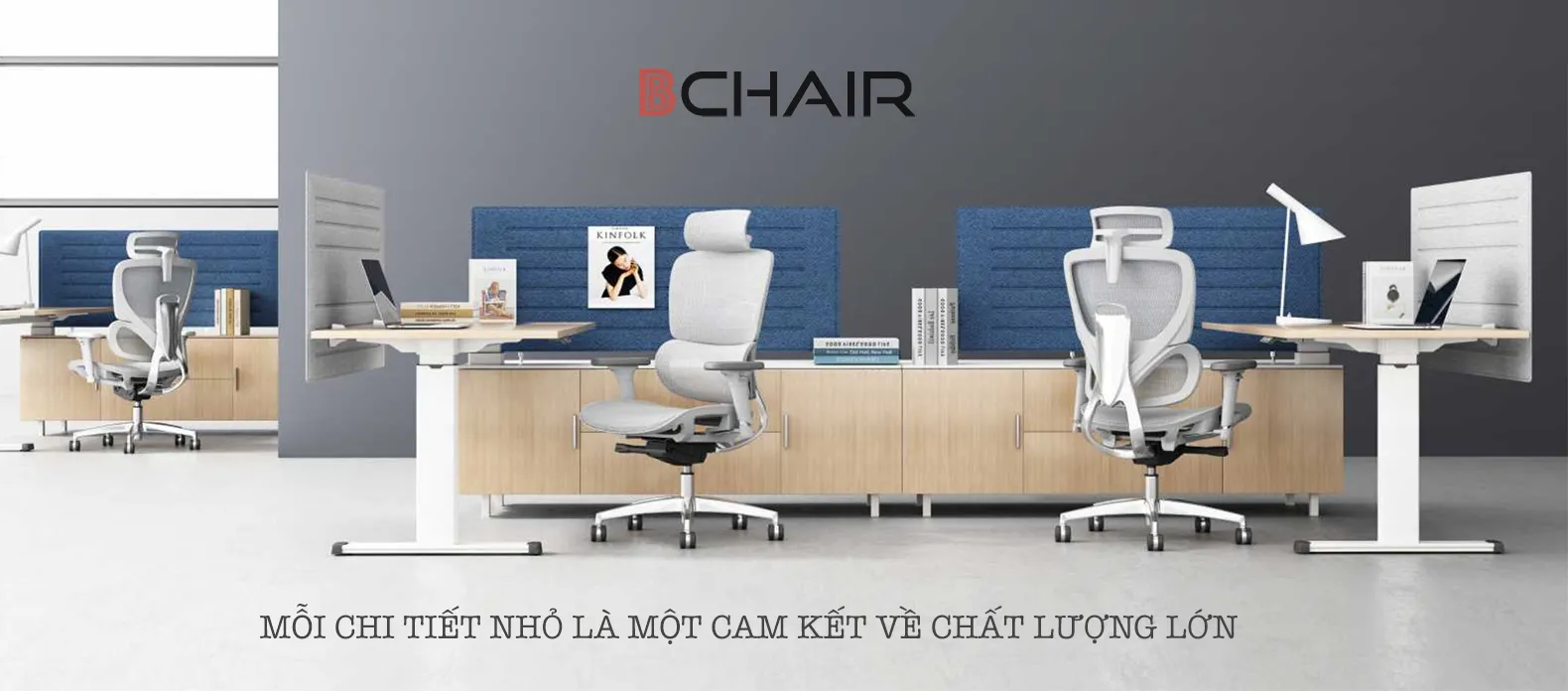 Ghế Công Thái Học Cao Cấp B 1018D