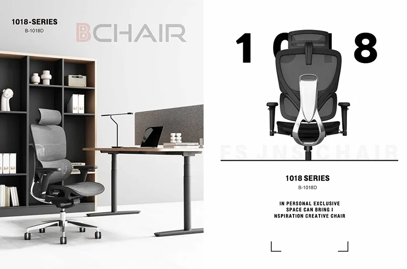 Ghế công thái học B-1018D