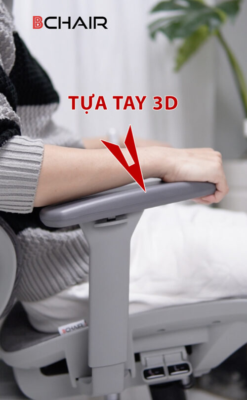 Ghế công thái học Ergonomic B-102A chân kim loại mạ crom - Ảnh 10