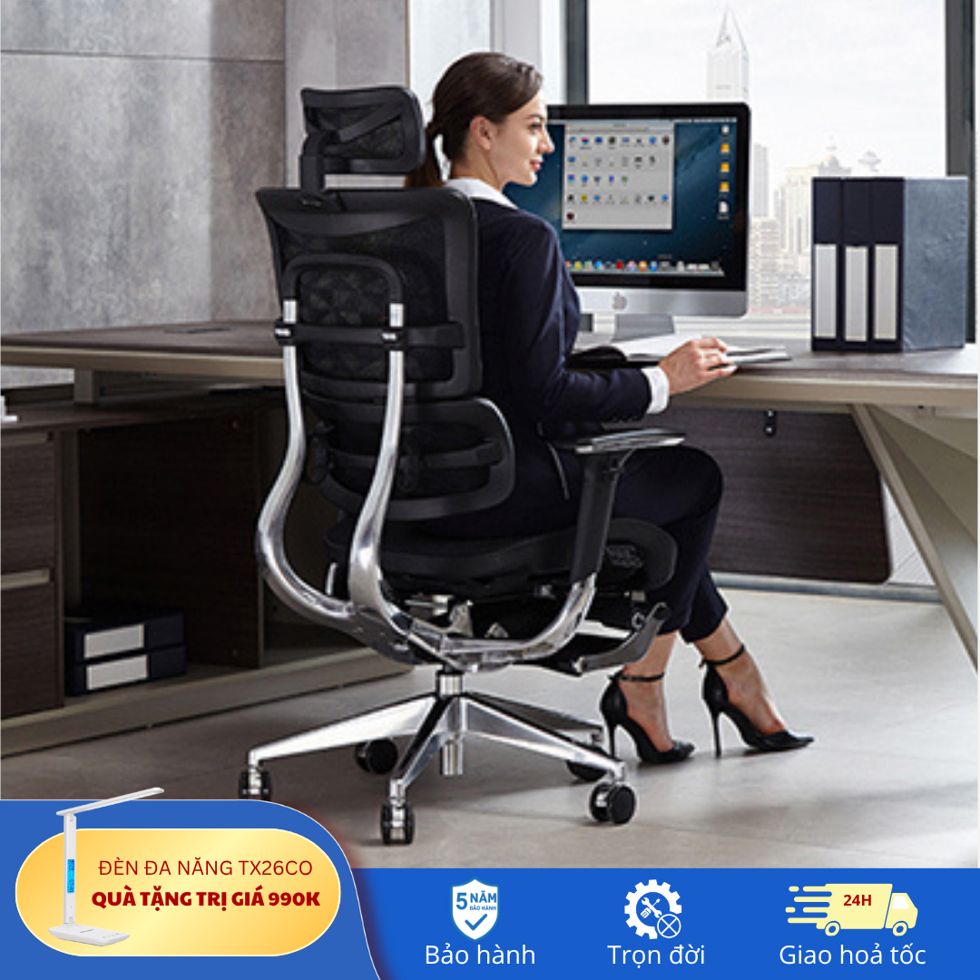 #1 Địa Chỉ Mua Ghế Công Thái Học Tại Hà Nội 5 Ghe Cong Thai Hoc Ha Noi B 801L