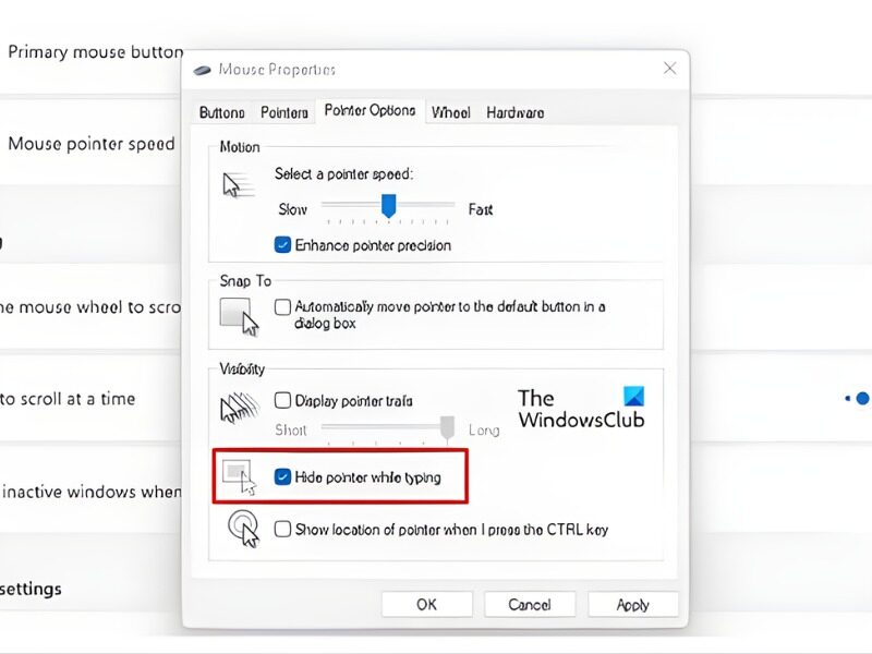 Bỏ tùy chọn "Hide Pointer While Typing” trong Windows