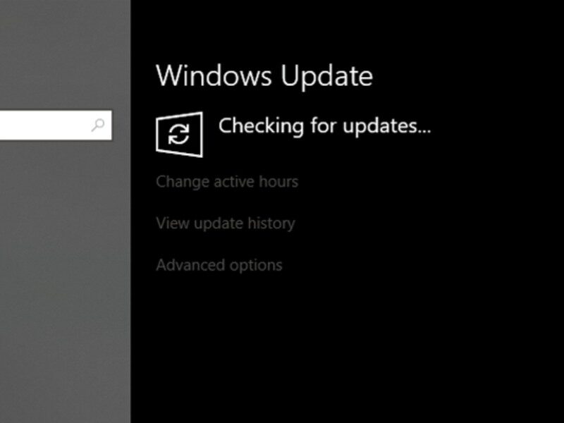 Nhấn Check for Updates để kiểm tra bản cập nhật 