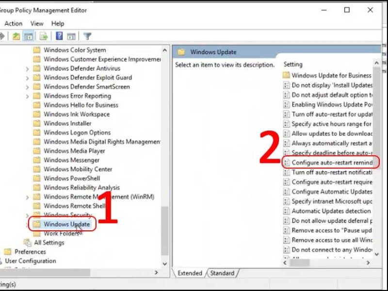 Chọn Configure Automatic Update