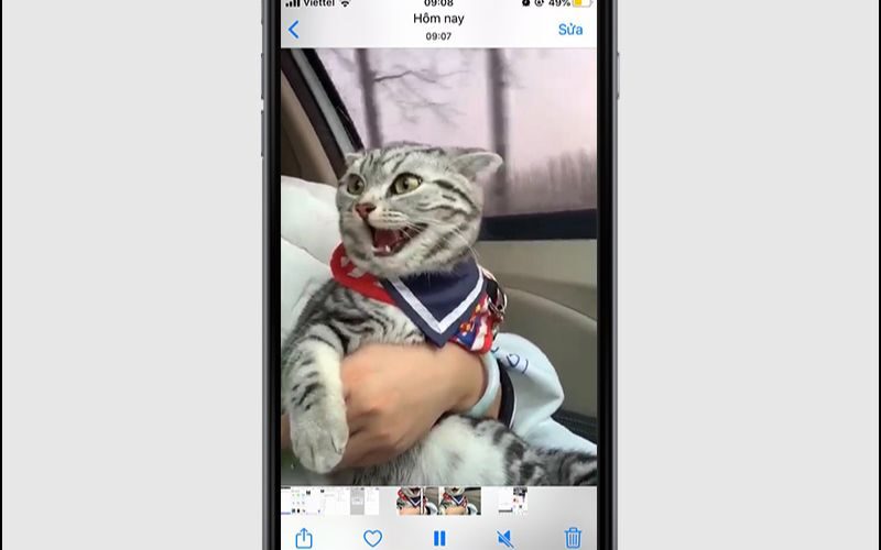 Hướng dẫn tải video Pinterest siêu dễ, nhanh chóng 4 tải video Printerest