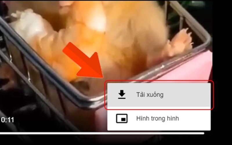 Hướng dẫn tải video Pinterest siêu dễ, nhanh chóng 6 tải video Printerest