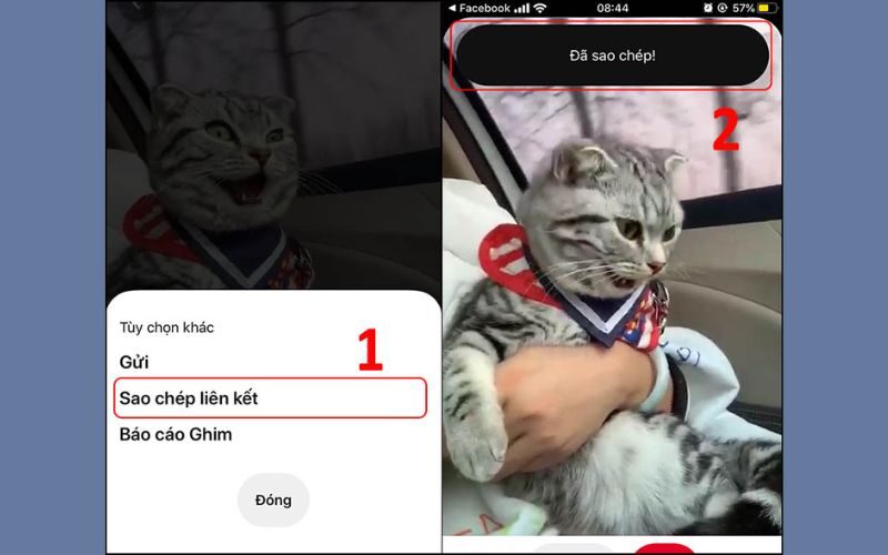 Hướng dẫn tải video Pinterest siêu dễ, nhanh chóng 1 tải video Printerest