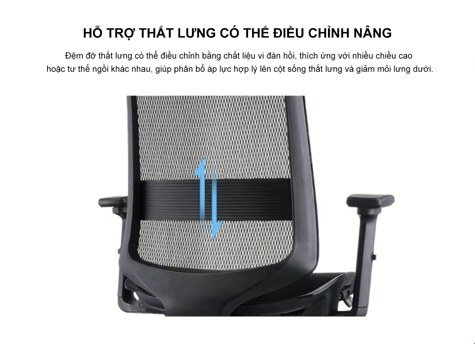 Ghế nhân viên văn phòng BC-406 30 Tấm hỗ trợ tựa lưng có thể hỗ trợ điều chỉnh nâng hạ