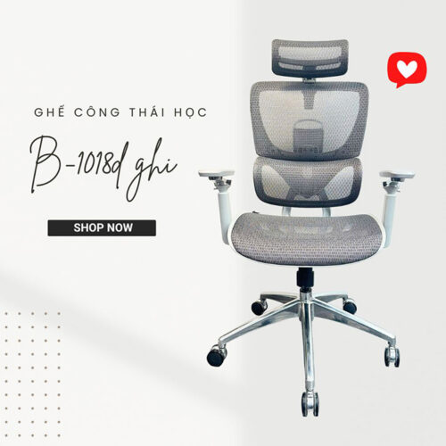 Ghế Công Thái Học